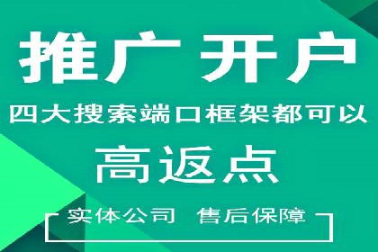 SEM推广竞价策略案例分析